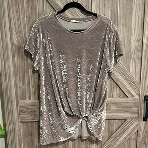 Hummingbird Velvet Short Sleeve Tee - Beige